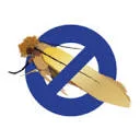 Moth-Prevention Coupon Codes